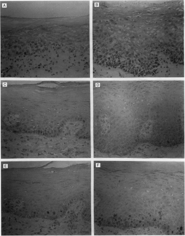 graphic file with name clinmolpath00002-0049-a.jpg