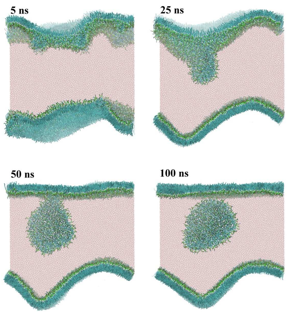 Fig. 8