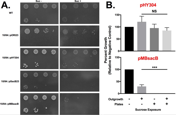 FIG 3