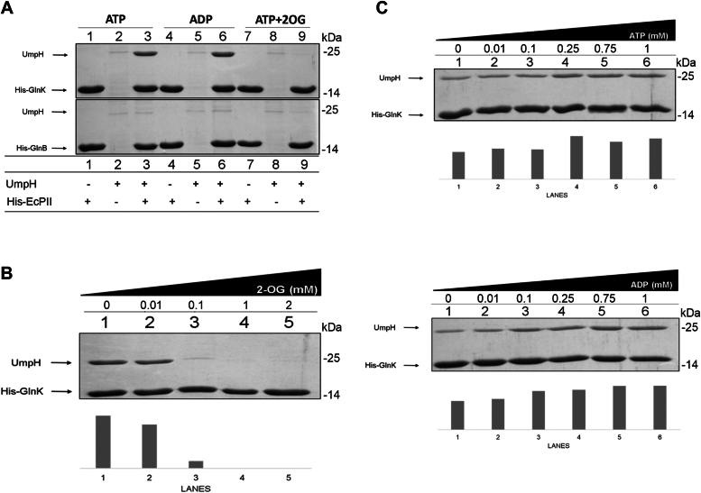 Figure 2