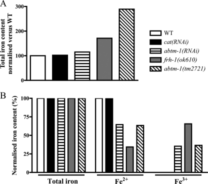 FIGURE 3.