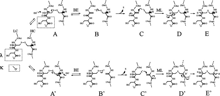 FIGURE 9.