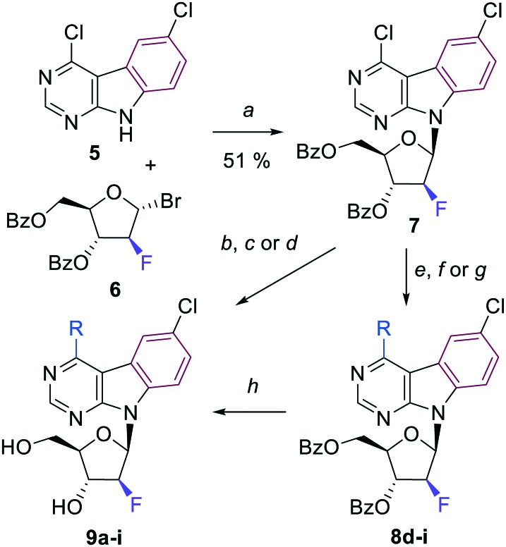 Scheme 1