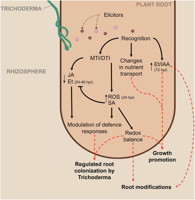 Fig. 8