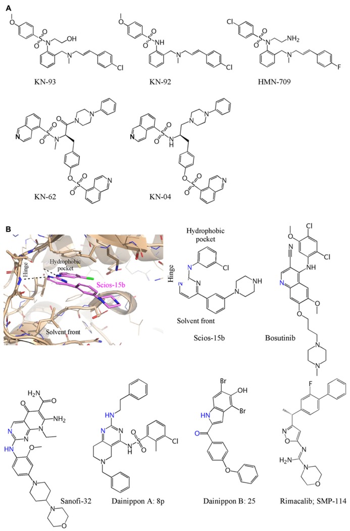 FIGURE 2