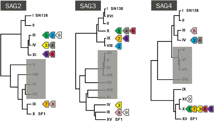 Fig. 3