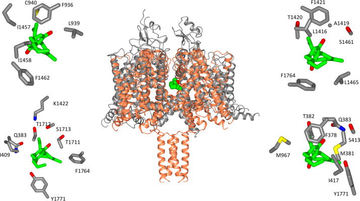 Figure 3.