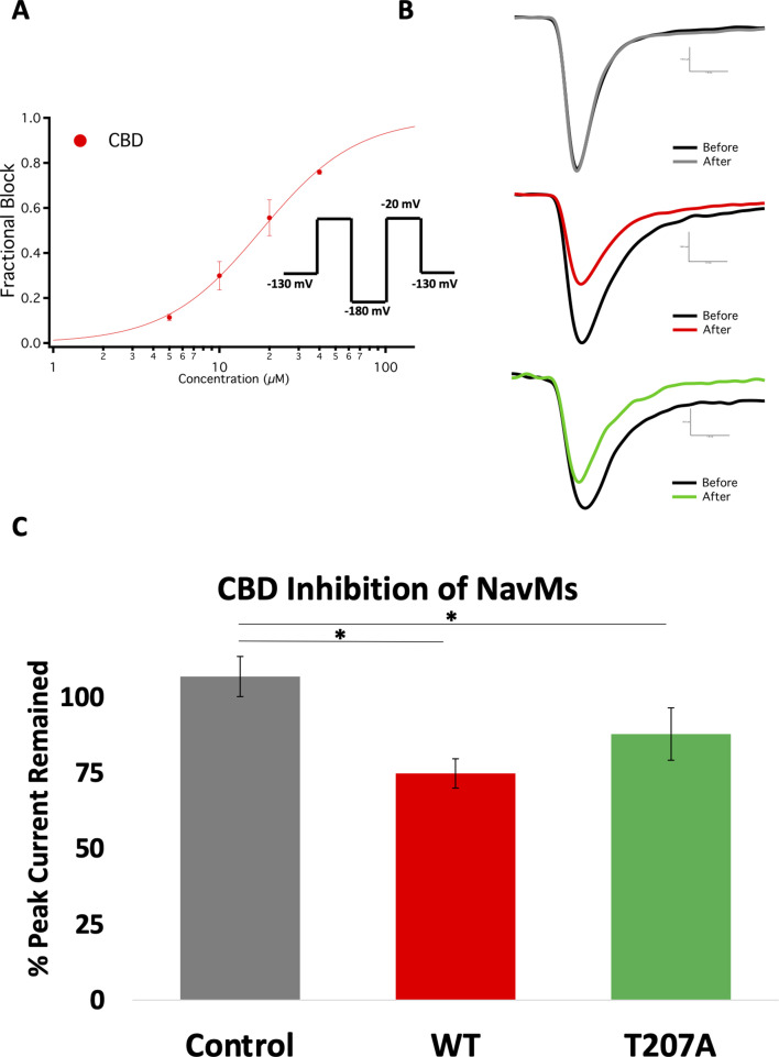 Figure 5.