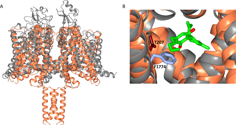 Figure 6—figure supplement 1.