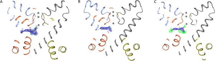 Figure 2—figure supplement 1.