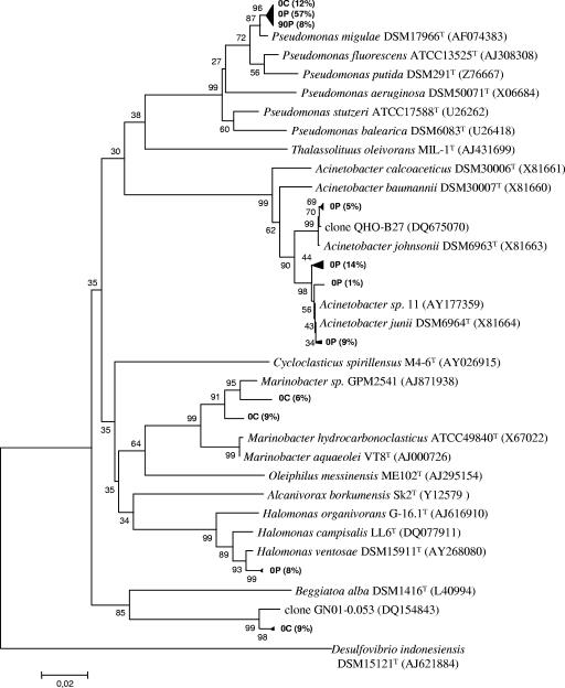 FIG. 5.