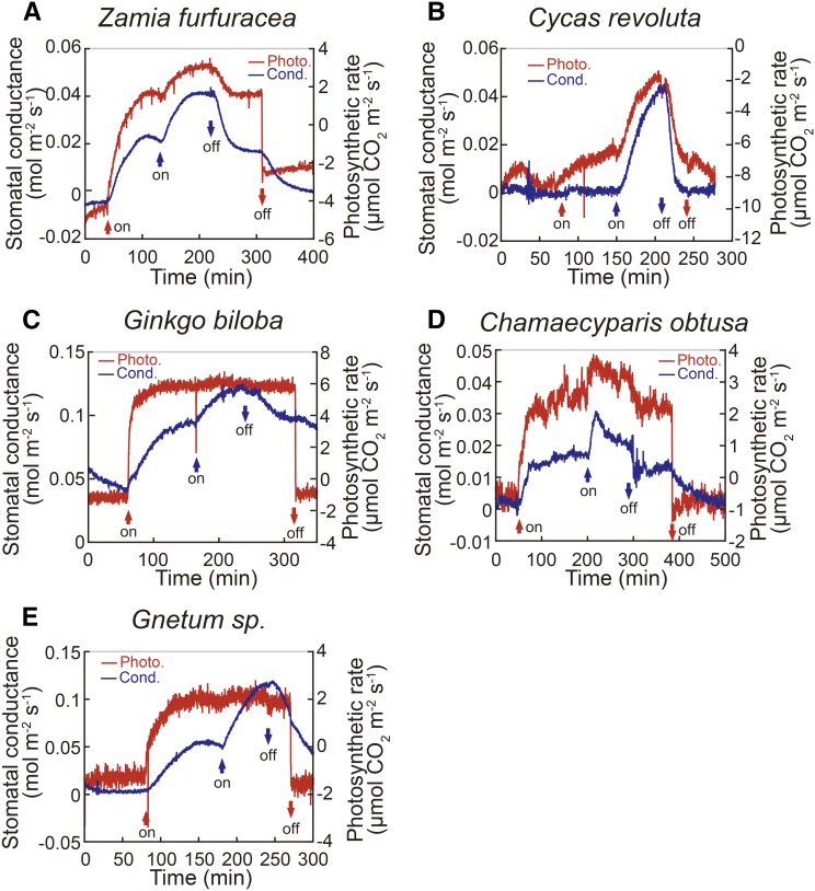 Figure 3.