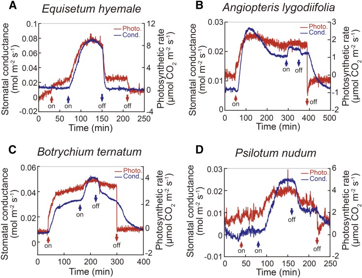 Figure 4.