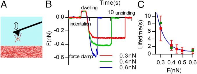 Fig. 5.