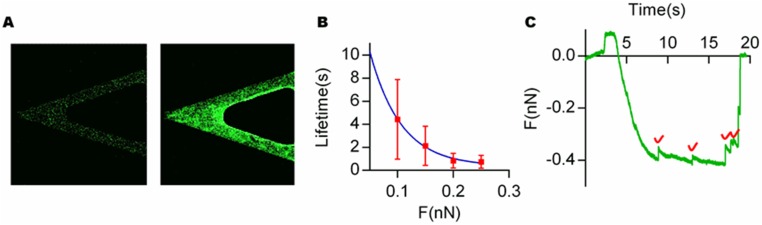 Fig. S9.