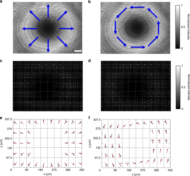 Fig. 4