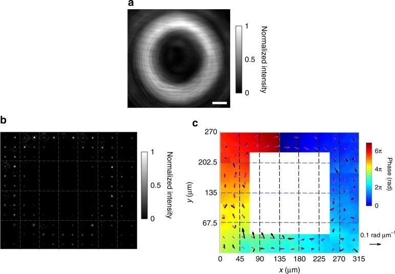 Fig. 6