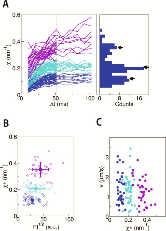 FIGURE 5: