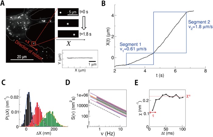 FIGURE 2: