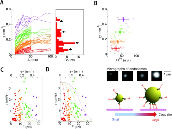 FIGURE 4: