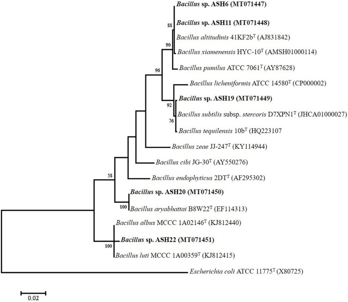 FIGURE 7