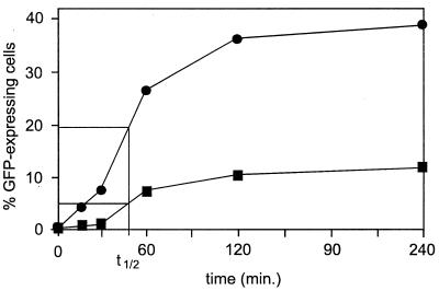 FIG. 6