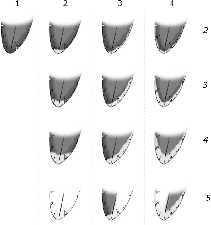 Fig 3