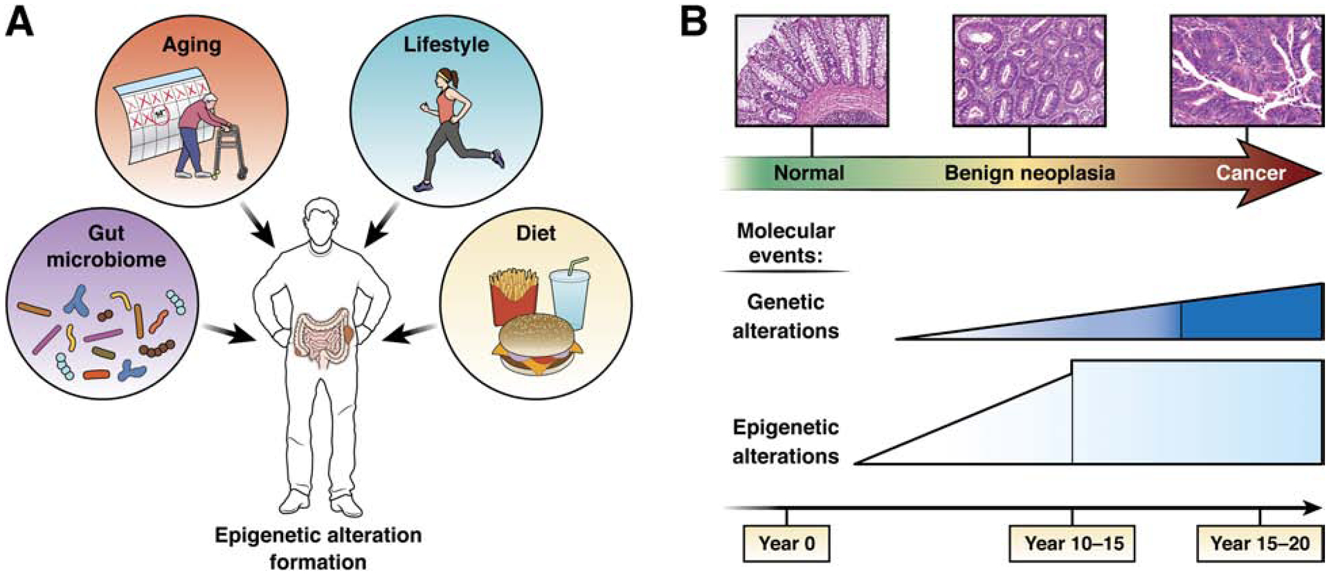 Figure 1: