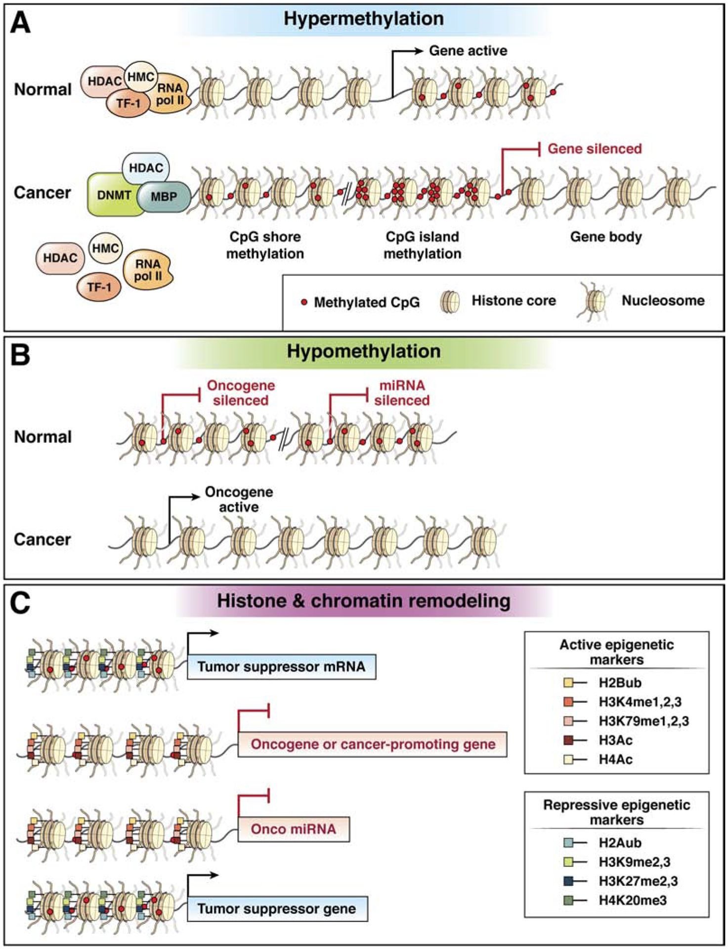 Figure 2A and B: