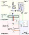 Fig. 1