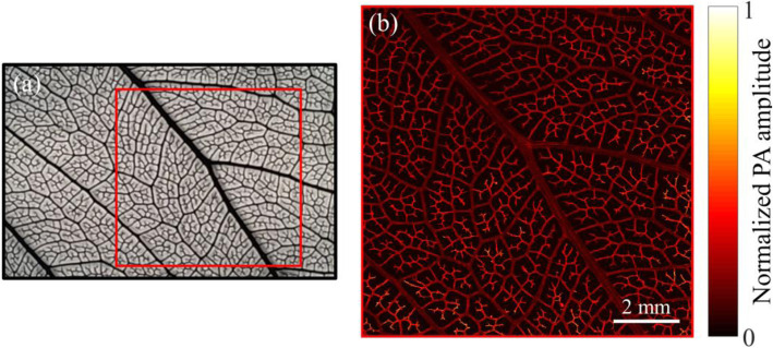 Fig. 3