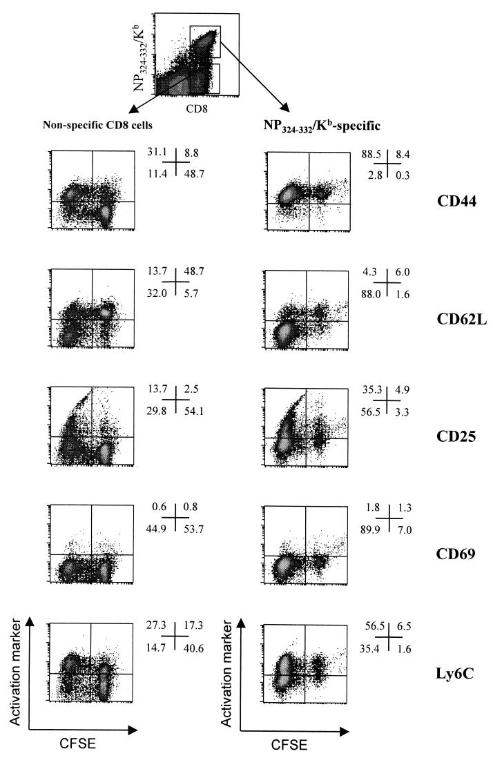 FIG. 6
