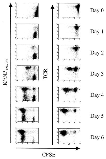 FIG. 3