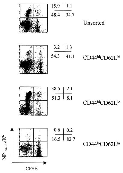 FIG. 7