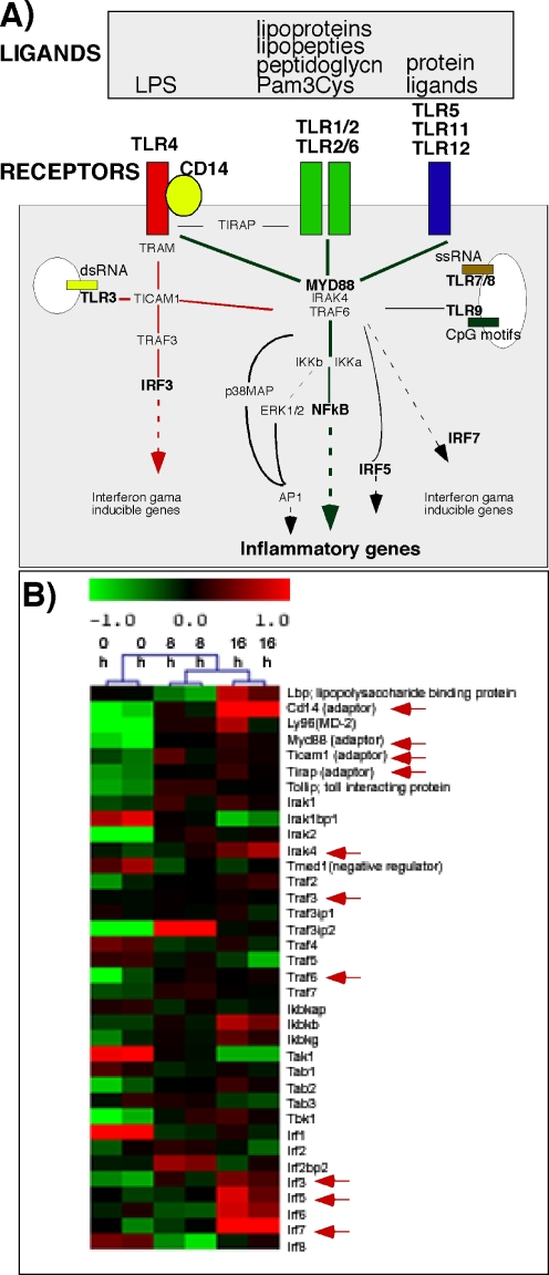 Fig. 2