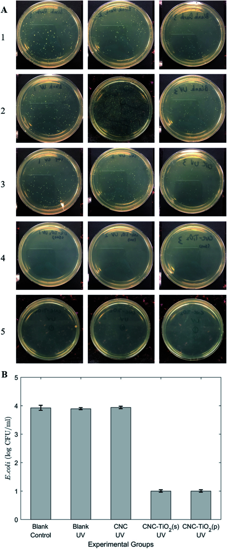 Fig. 8