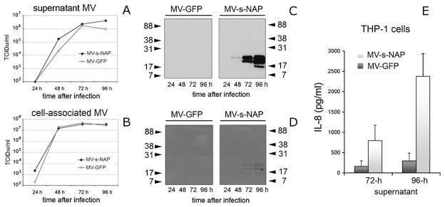 Fig. 4