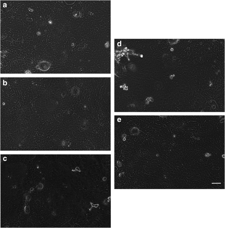 FIG. 5.