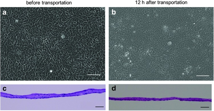 FIG. 7.