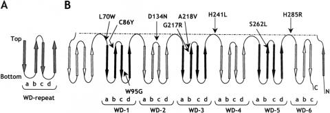 Figure  4