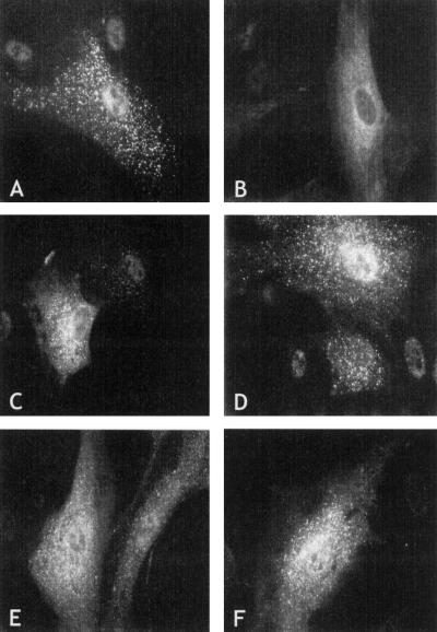 Figure  2