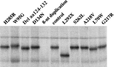 Figure  3