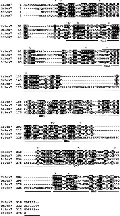 Figure  1