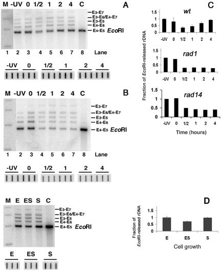 FIG. 7.