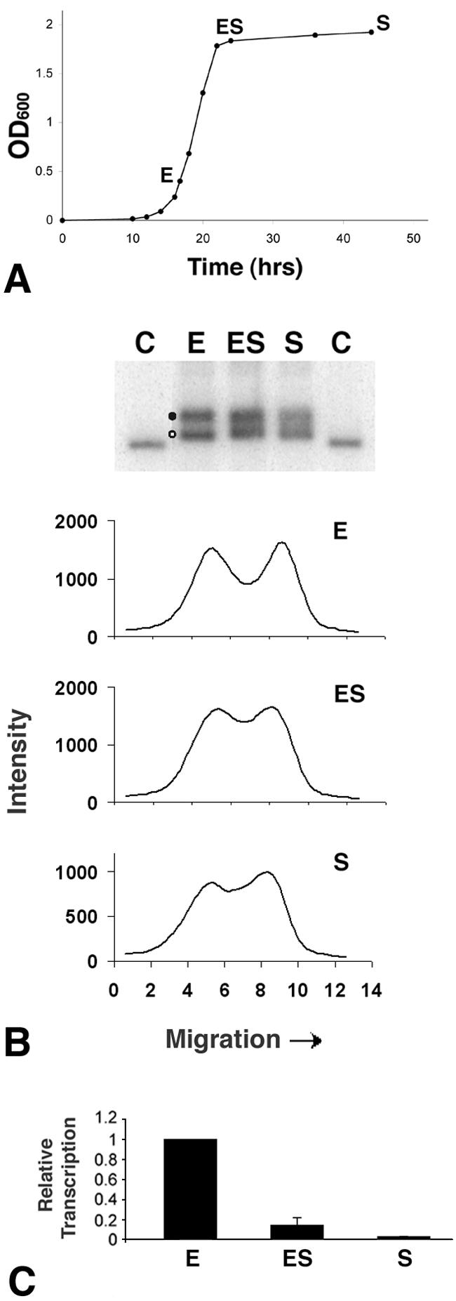 FIG. 6.