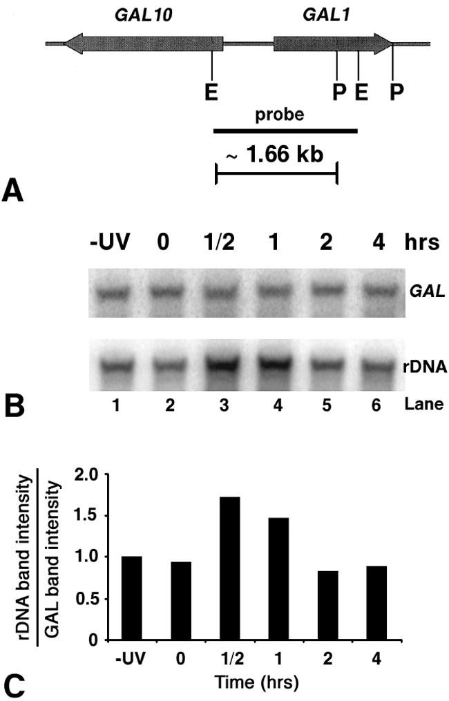 FIG. 8.