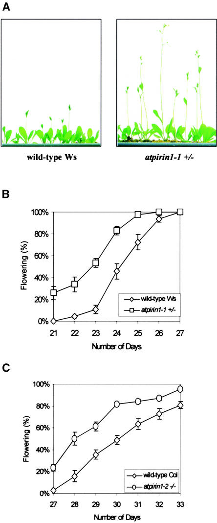 Figure 7.