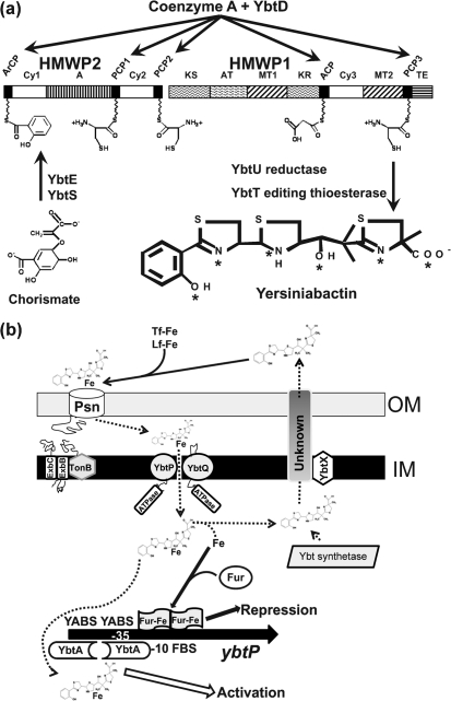 Fig. 1.