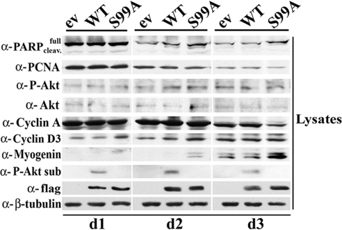 FIGURE 6: