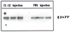 FIG. 6